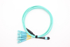 12F MPO/MTP-6*DX LC Cable Cable