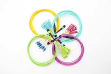 12F MPO/MTP-6*DX LC Cable Cable